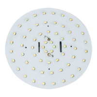 60 LED Round Replacement Globe
