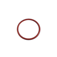 Truma HWS 240V Element O-Ring 850W
