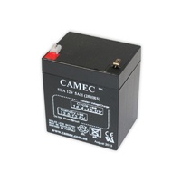 Camec Breakaway System Replacement Battery